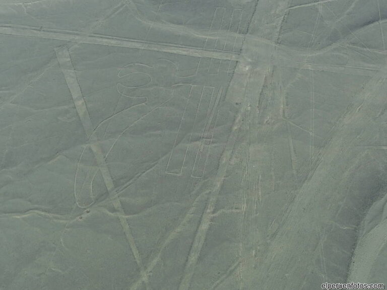 geoglifos de nazca 037